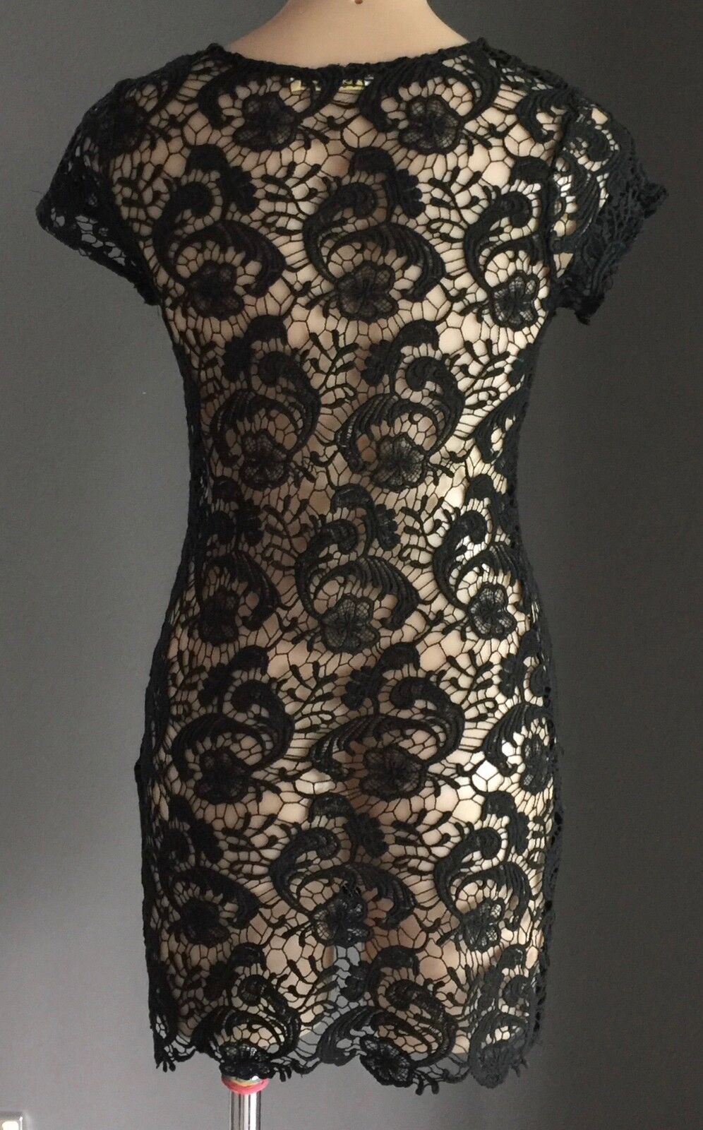 PASSION Retro Chic Fusion Sheer Black Lace Short Sleeve Ladies Size M 10 NEW