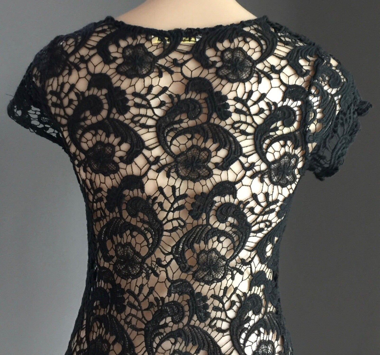 PASSION Retro Chic Fusion Sheer Black Lace Short Sleeve Ladies Size M 10 NEW