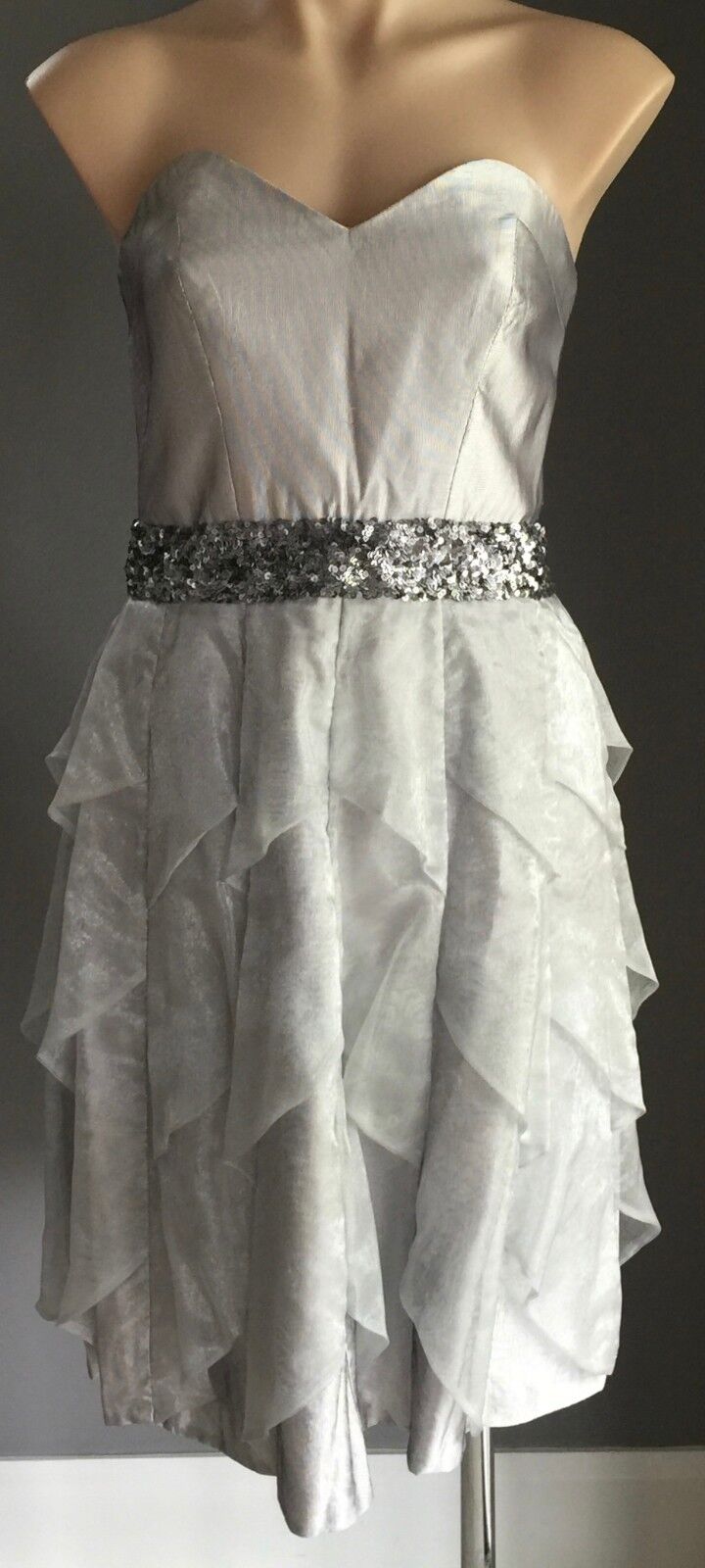 Strapless Dress Silver ROSE NOIR Bustier Knee Length Evening Wear Size 12  EW