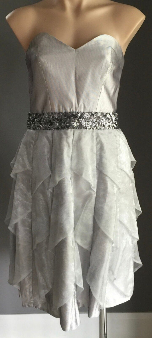Strapless Dress Silver ROSE NOIR Bustier Knee Length Evening Wear Size 12  EW