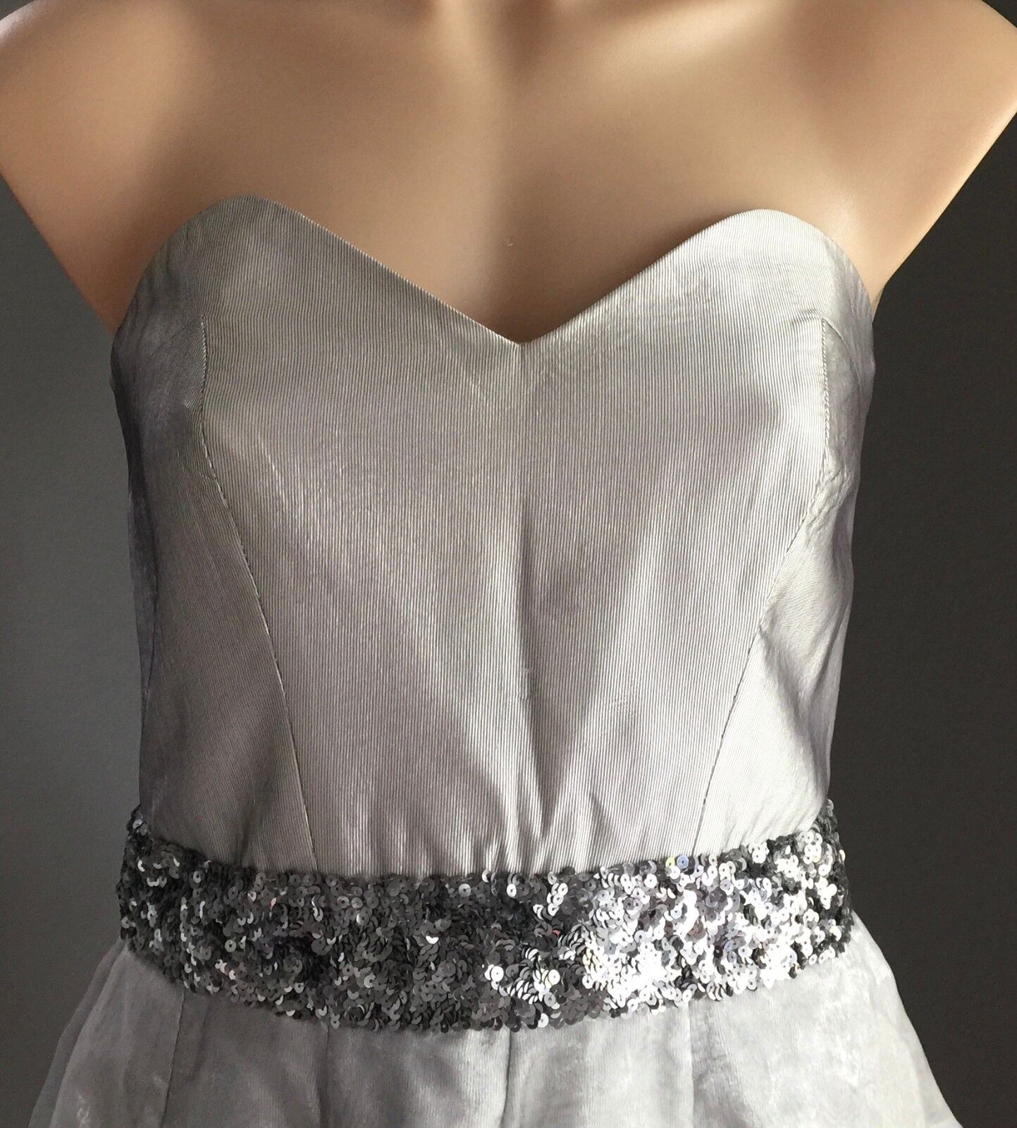 Strapless Dress Silver ROSE NOIR Bustier Knee Length Evening Wear Size 12  EW