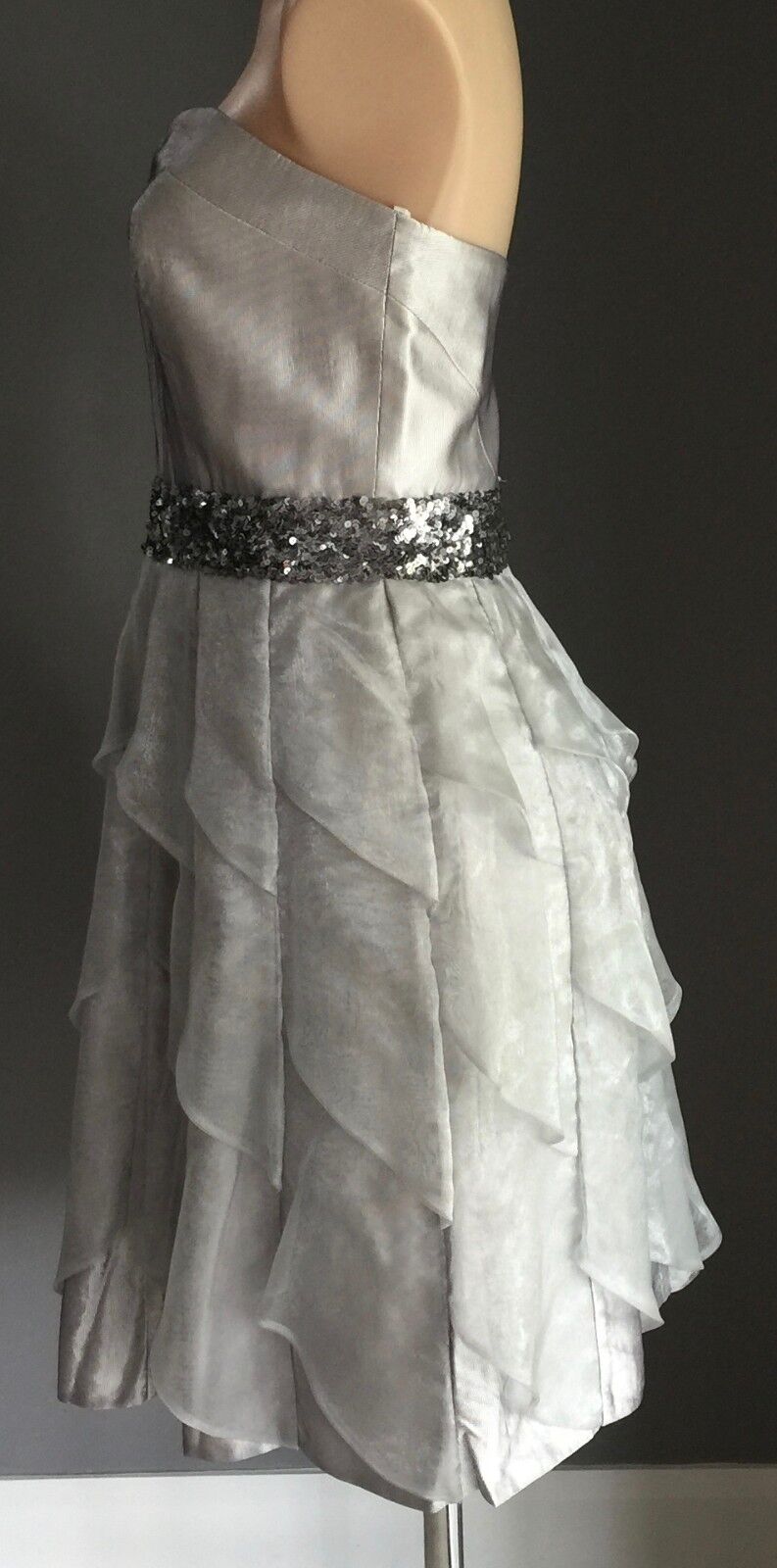 Strapless Dress Silver ROSE NOIR Bustier Knee Length Evening Wear Size 12  EW