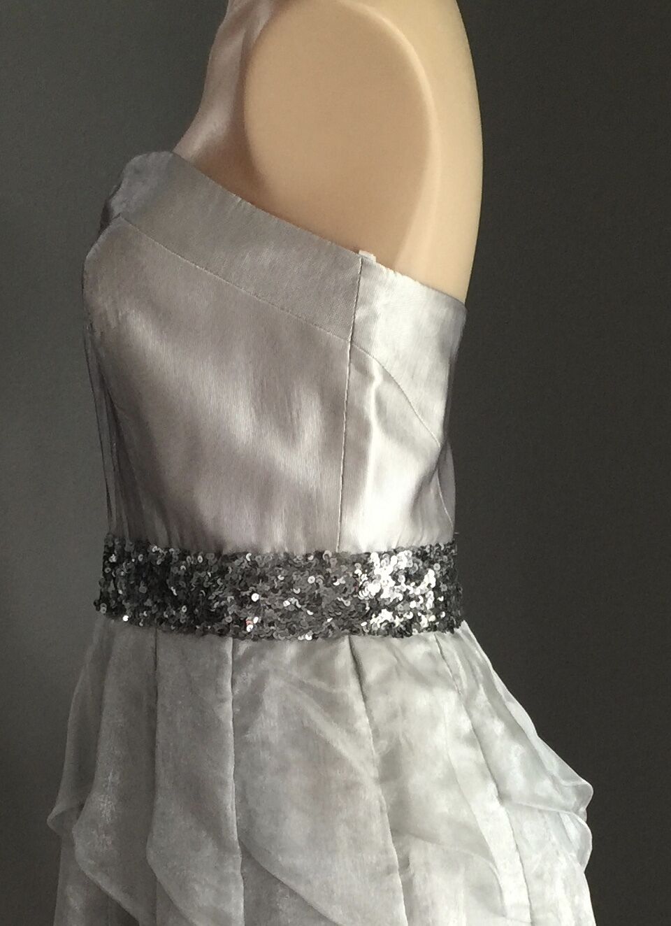 Strapless Dress Silver ROSE NOIR Bustier Knee Length Evening Wear Size 12  EW