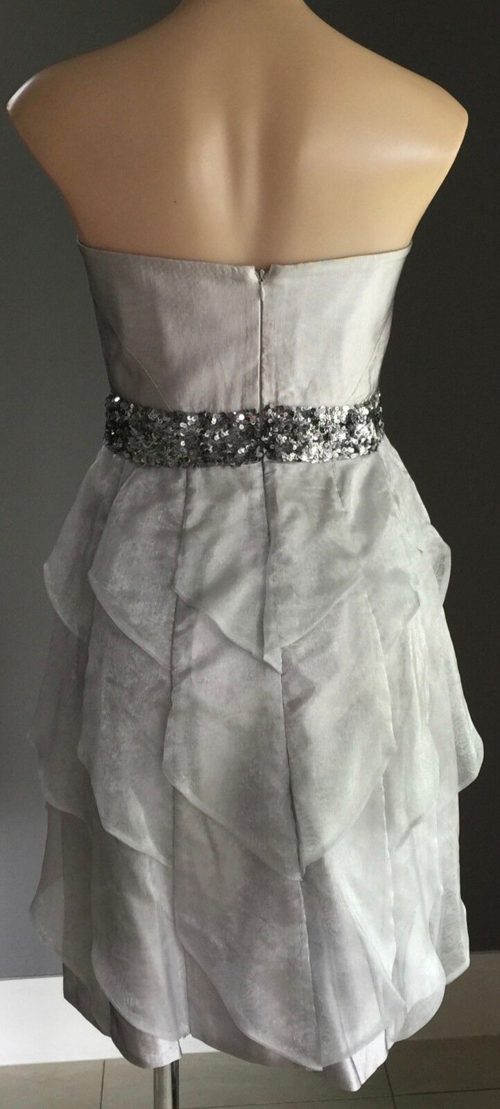 Strapless Dress Silver ROSE NOIR Bustier Knee Length Evening Wear Size 12  EW
