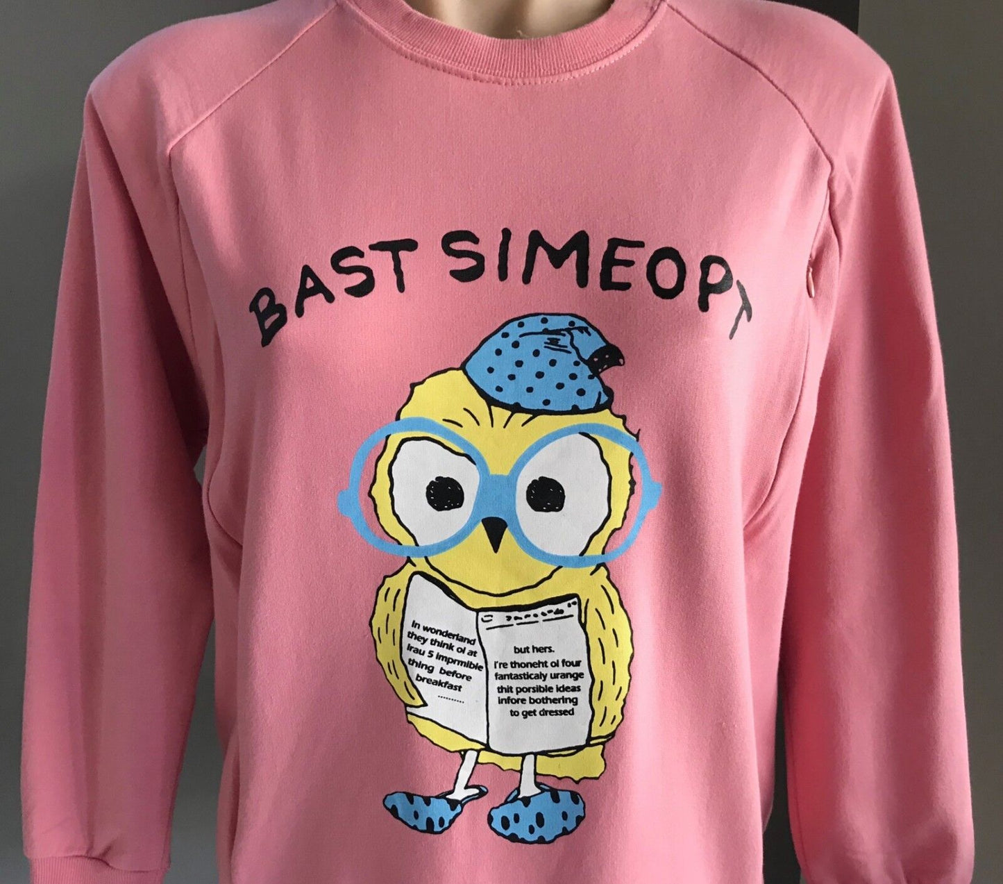 Bast Simeopt YUN JIN Pink Owl Print Crew Neck Sweater 2 Side Zips Bart Size S 10