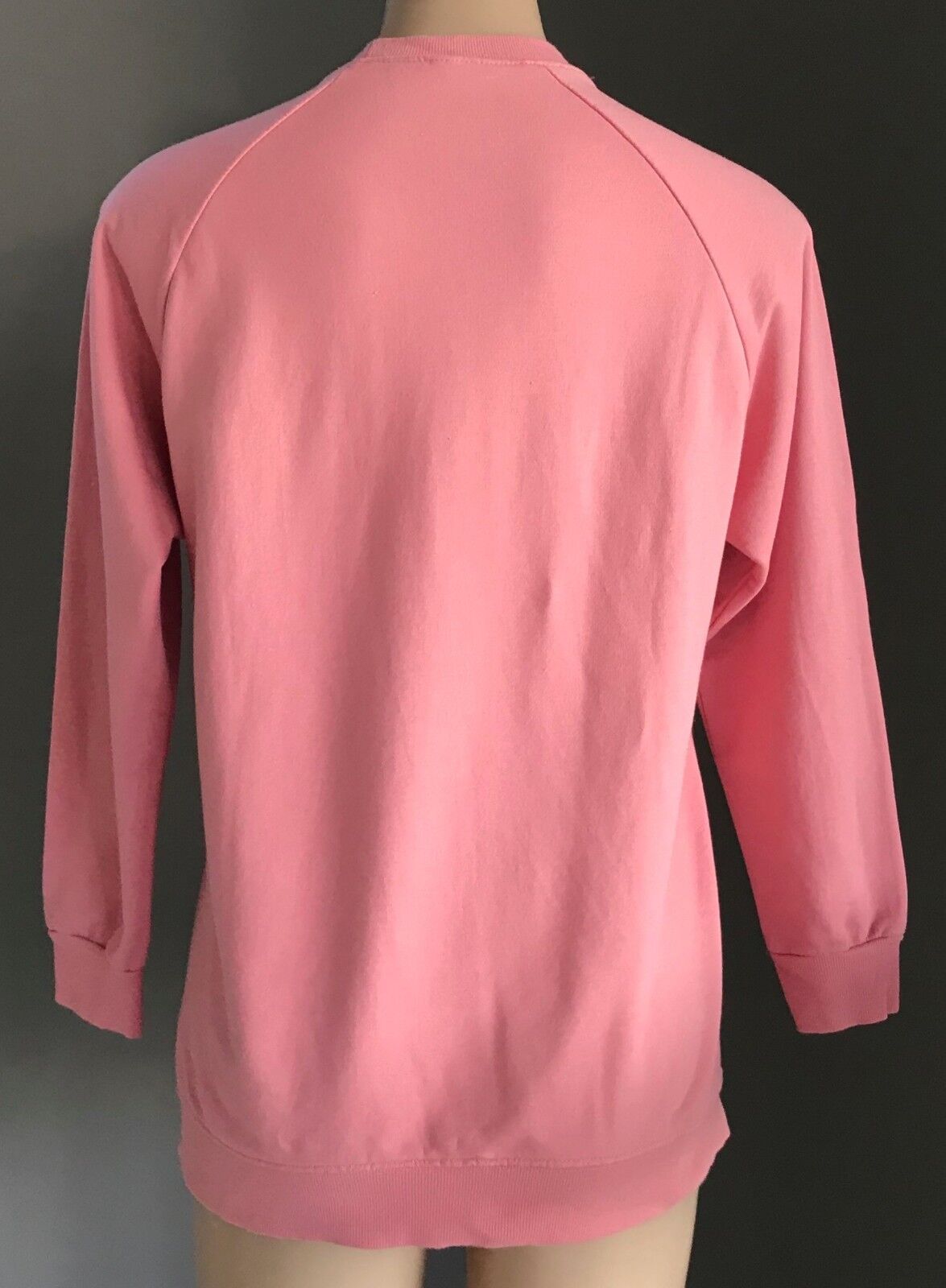 Bast Simeopt YUN JIN Pink Owl Print Crew Neck Sweater 2 Side Zips Bart Size S 10