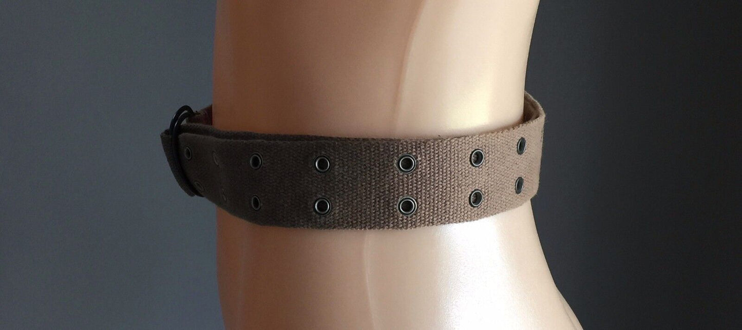 4cm Belt Brown Mocha Thick Canvas Utility Rivet Trim D RING Belt Ladies  Size 14