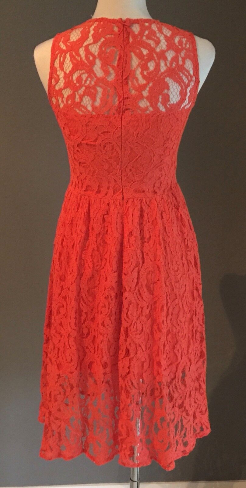 ZALORA Sheath Dress Orange Lace Ladies Size S 10 Great Condition