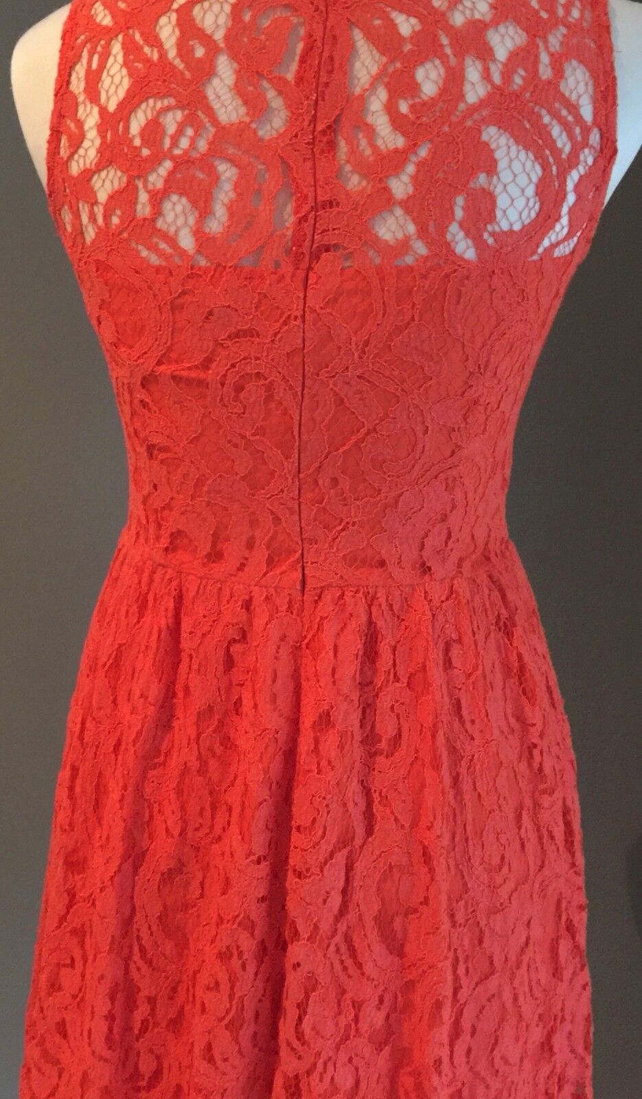 ZALORA Sheath Dress Orange Lace Ladies Size S 10 Great Condition