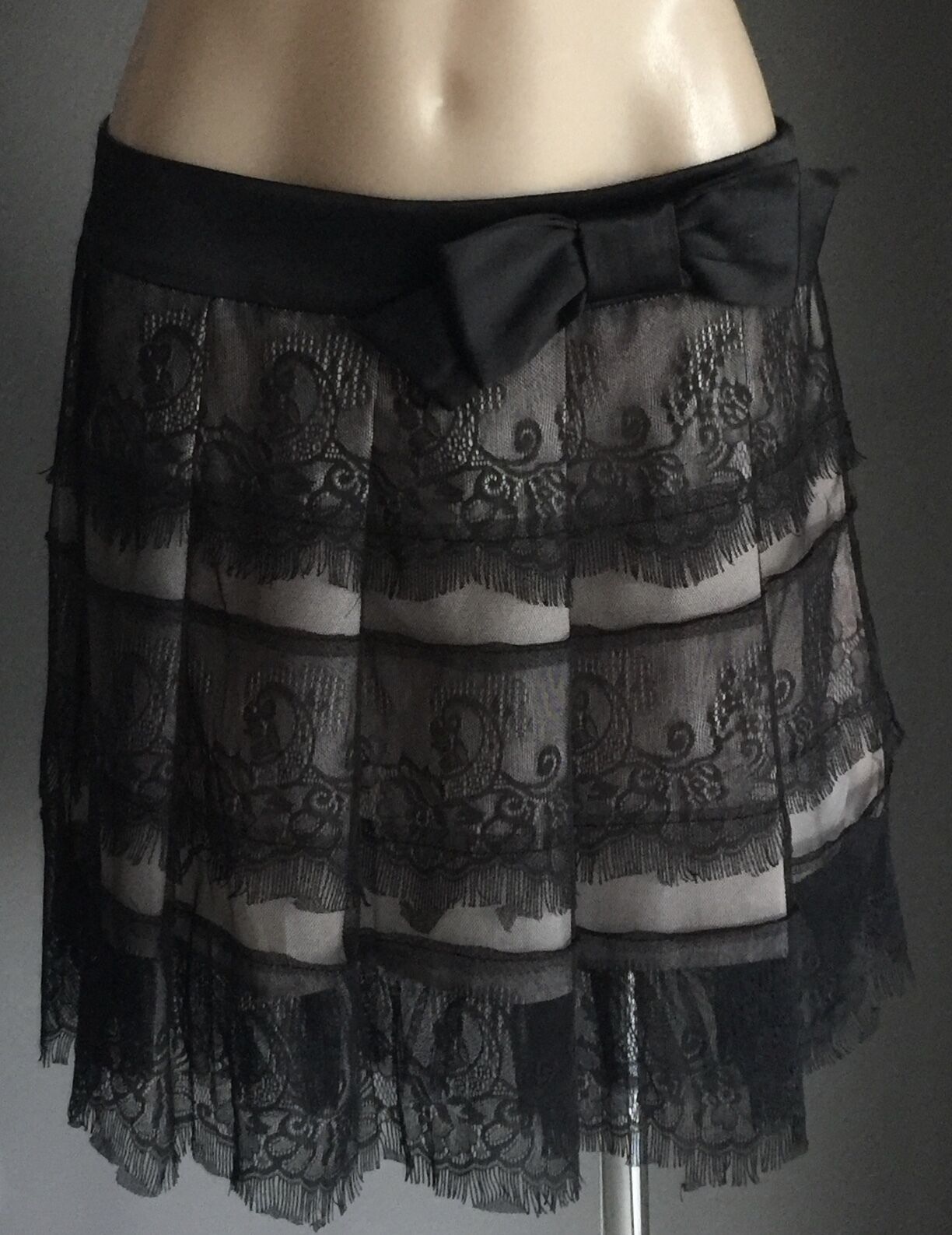 HOT OPTIONS SKIRT Black Lace & Blush Pleated  Ladies Size 10 *Stunning NEW