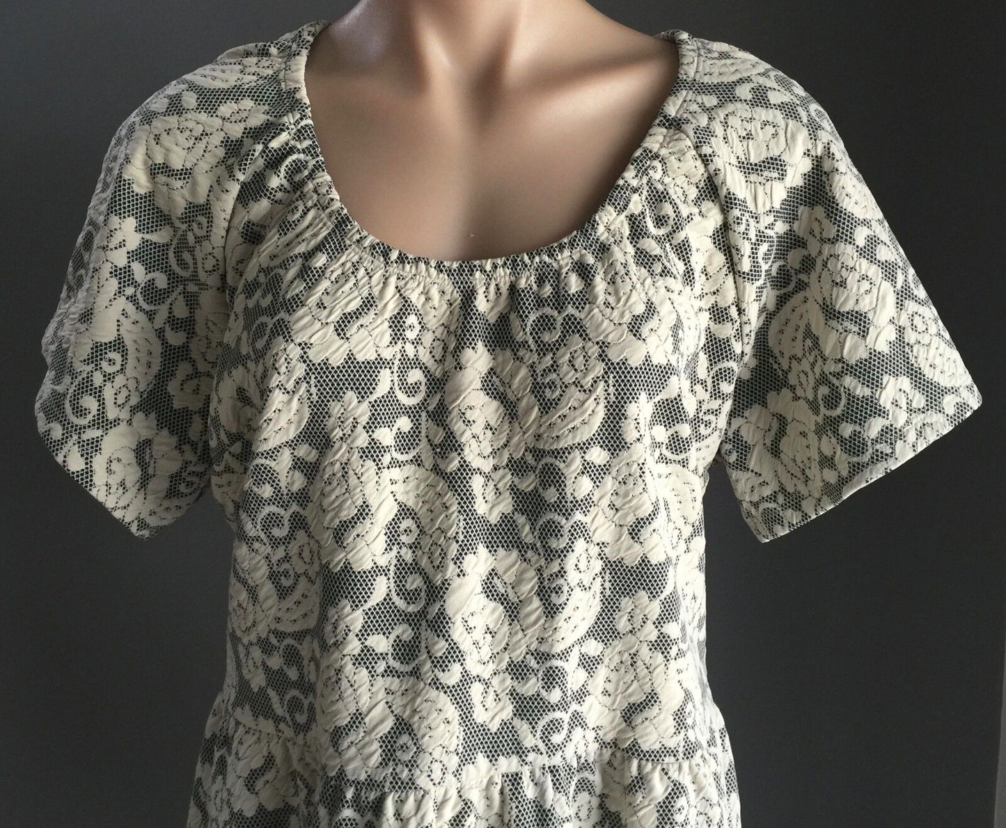 ED.IT.ED PLUS Stretch Skater Dress Plus Size 20 Ivory Floral Lace Print
