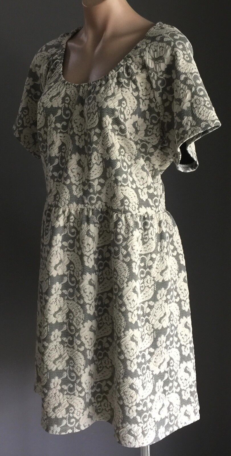 ED.IT.ED PLUS Stretch Skater Dress Plus Size 20 Ivory Floral Lace Print
