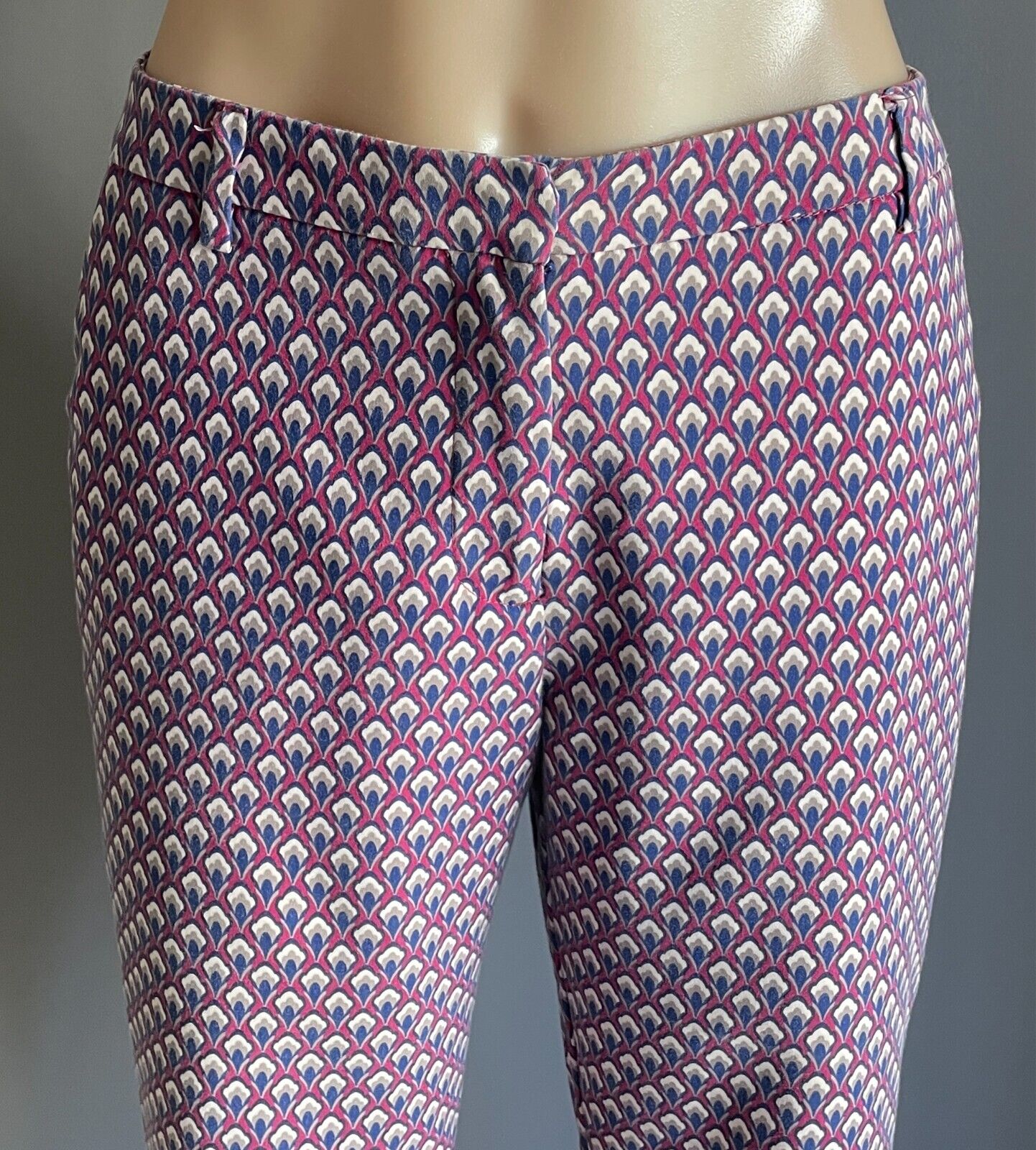 SPORTSGIRL Pants  Slim Fit Dark Fuchsia Blue Taupe Cream Print Sz 12 Crop Length