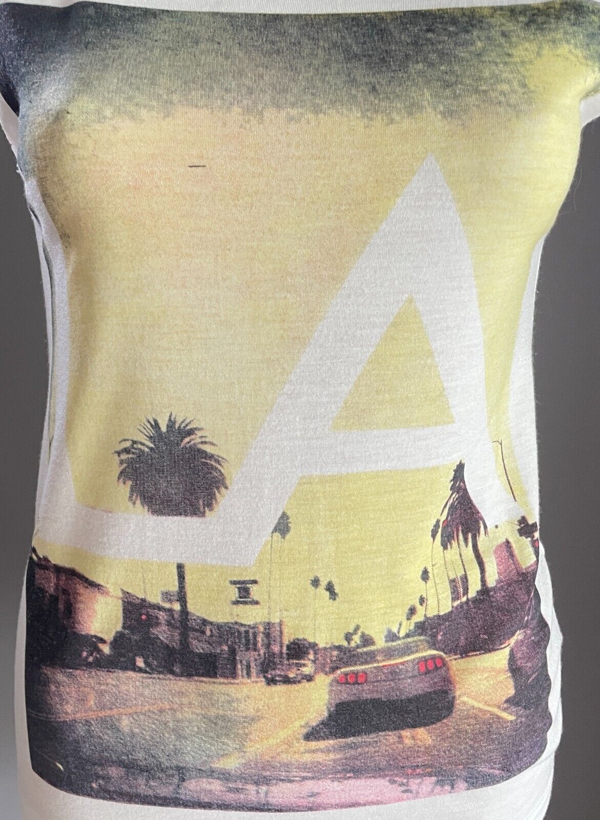 CHICABOOTI Top White Sleeveless T-Shirt LA Sunset Print At Front Size S 10