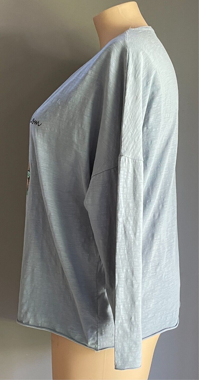 CHICYEA Blue Long Sleeve Top "Whisper Words Of Wisdom" Plus Sze 20/22 Bust 133cm