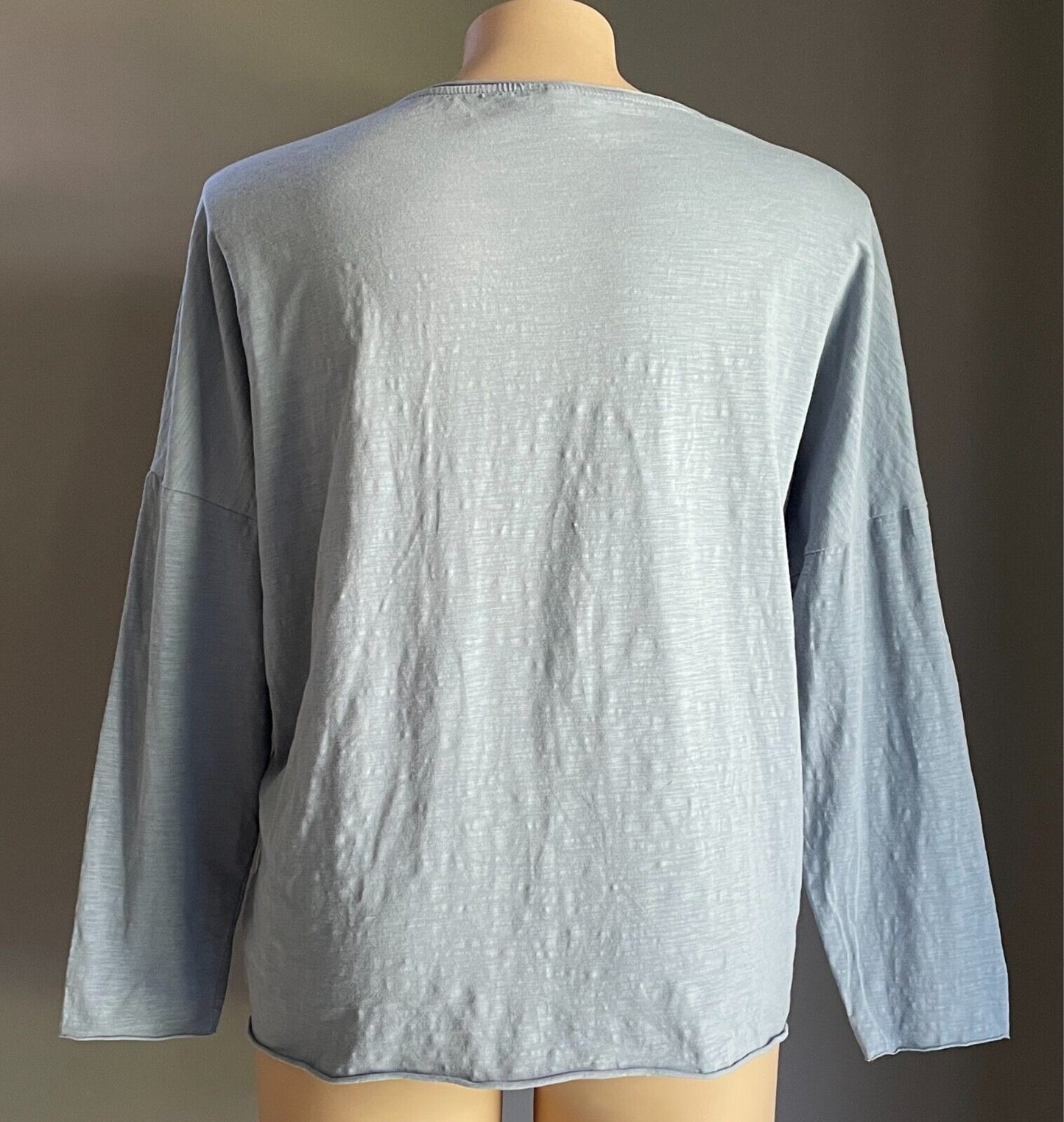 CHICYEA Blue Long Sleeve Top "Whisper Words Of Wisdom" Plus Sze 20/22 Bust 133cm