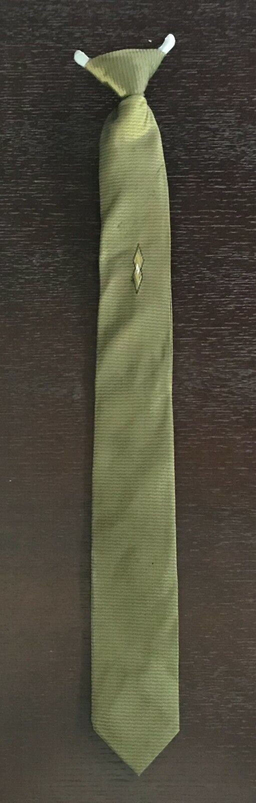Iridescent Green Mens Vintage Pre-Tied Clip On Thin Tie