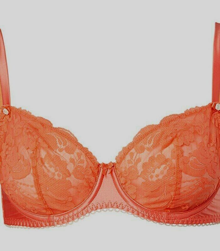 WILD HEARTS Bra 16D Apricot Lace Satin Trim Underwire Bra Set 16 D Briefs Sz 12