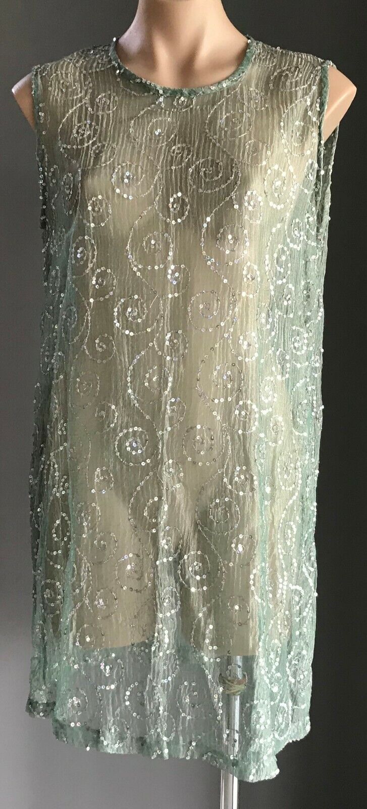 Sheer Shift Dress Sage Green Silver Shimmer Sleeveless w Sequin Trim Size 14