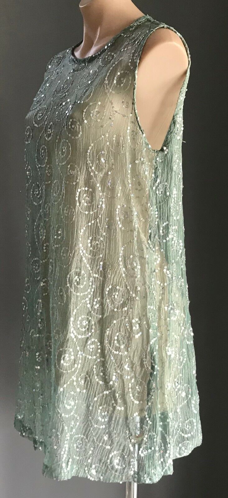 Sheer Shift Dress Sage Green Silver Shimmer Sleeveless w Sequin Trim Size 14