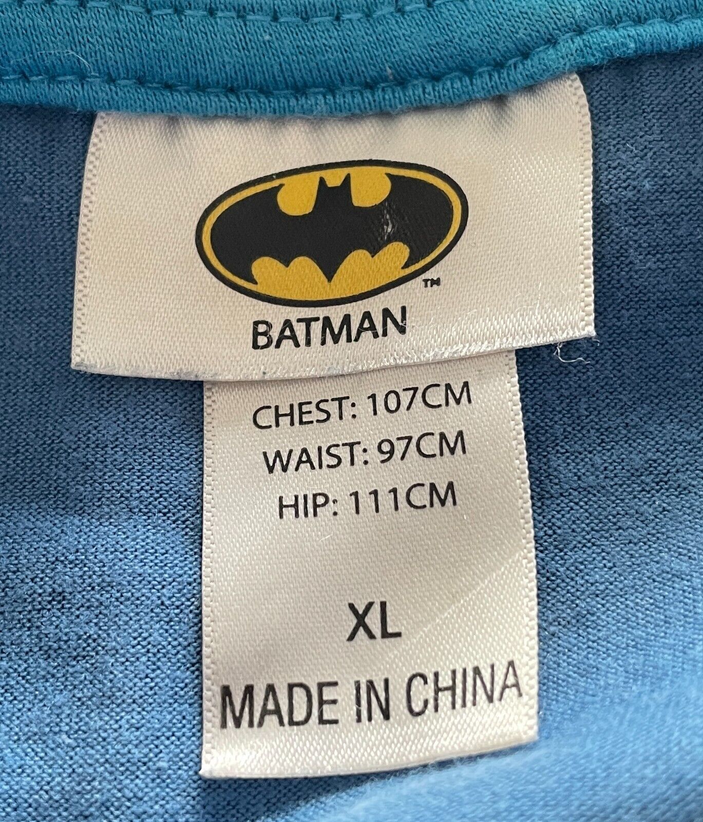BATMAN & ROBIN "I Train Super Heroes"  T-Shirt Print Blue  Sz XL Chest 107cm Tee