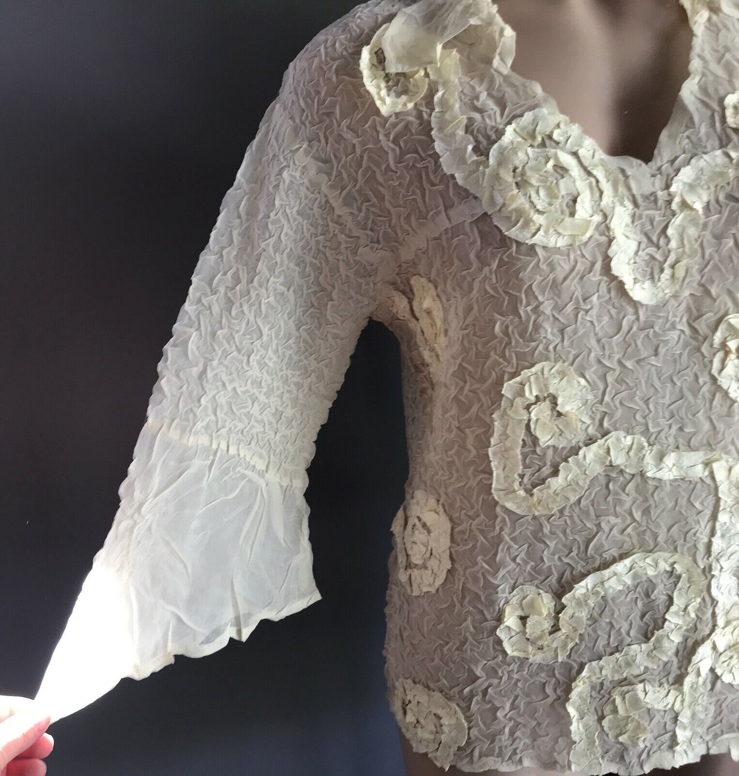 IYD Blouse Cream Wrinkle Semi Sheer Swirl Applique Bracelet Length Top Sz 10 12