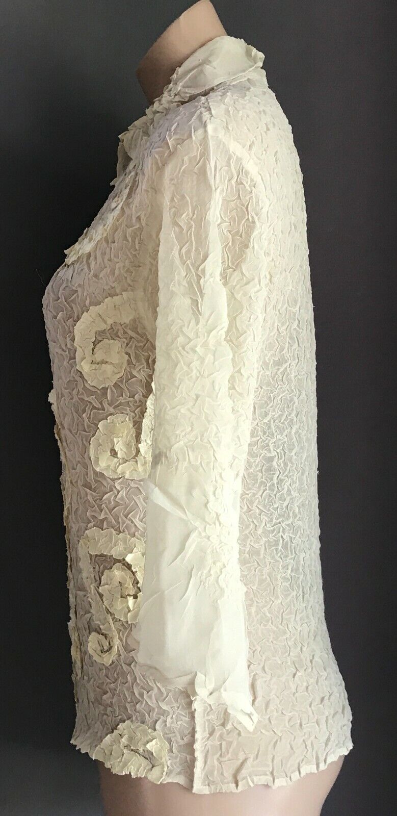 IYD Blouse Cream Wrinkle Semi Sheer Swirl Applique Bracelet Length Top Sz 10 12