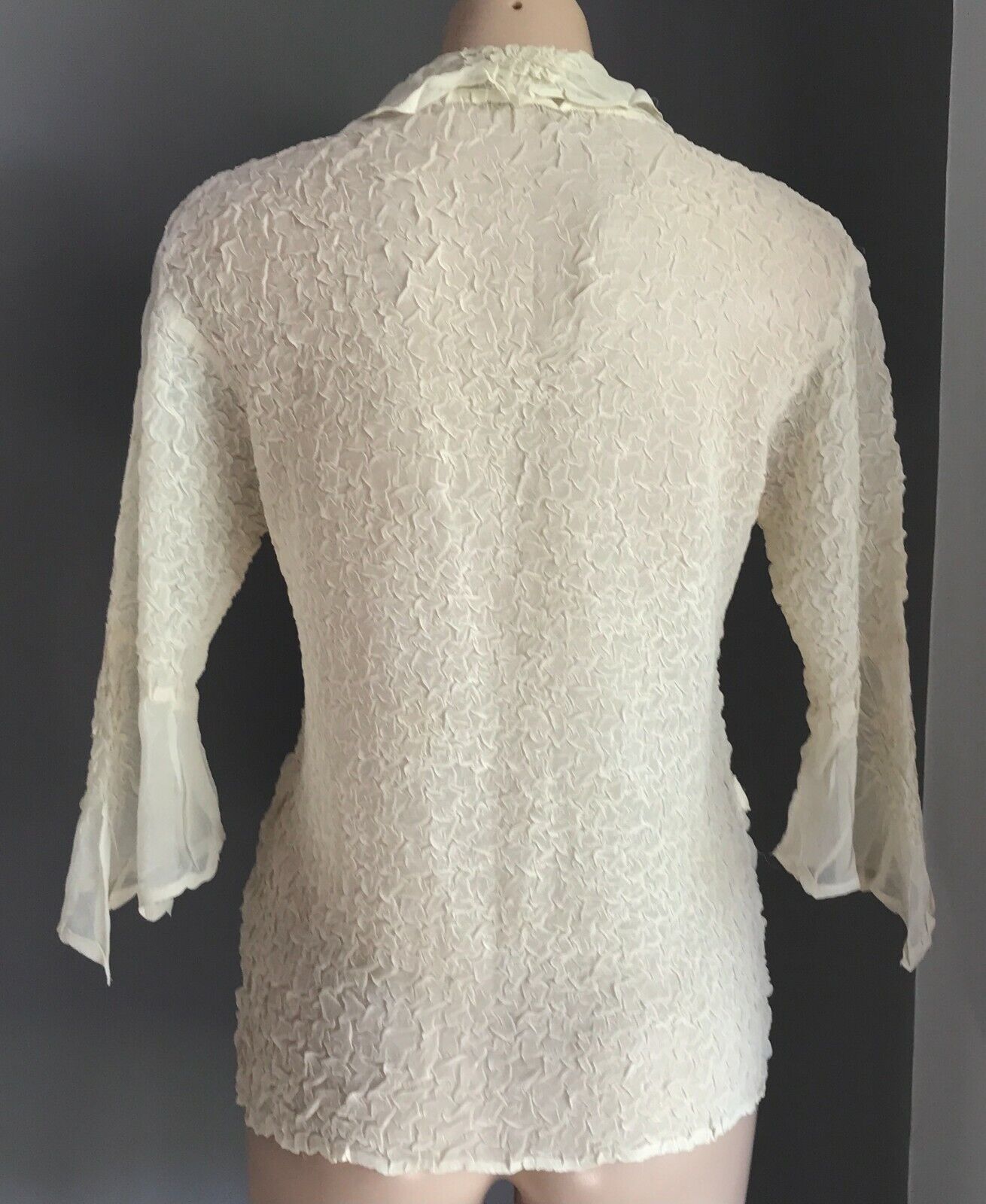 IYD Blouse Cream Wrinkle Semi Sheer Swirl Applique Bracelet Length Top Sz 10 12