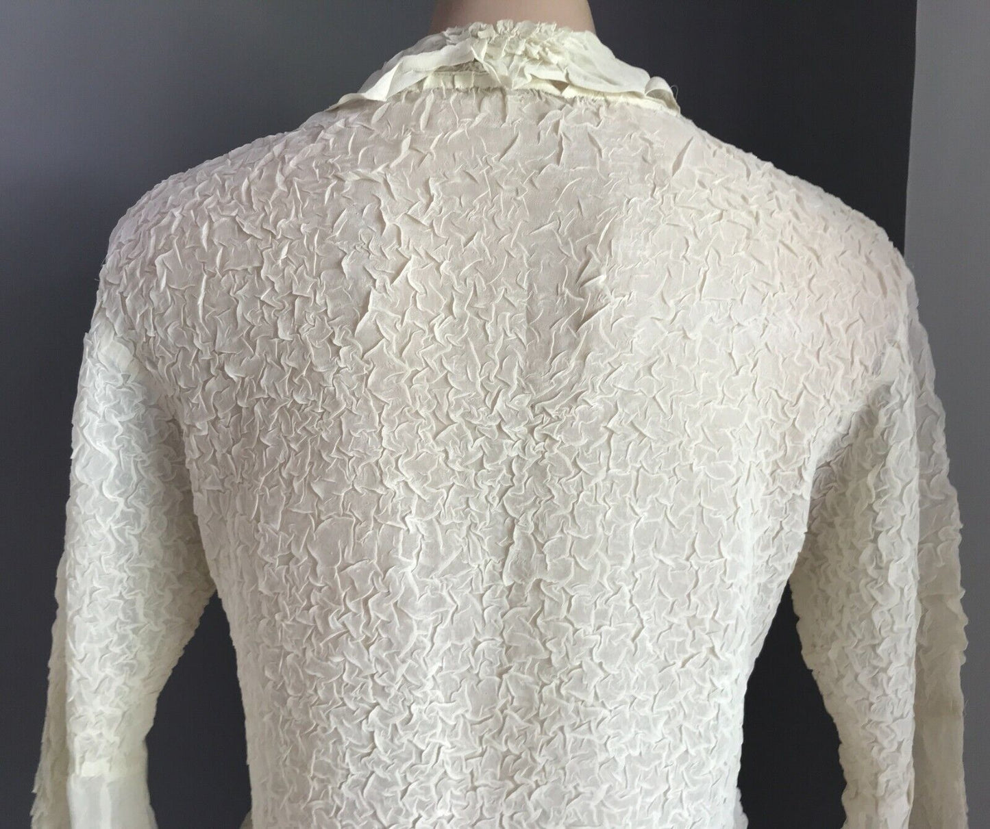 IYD Blouse Cream Wrinkle Semi Sheer Swirl Applique Bracelet Length Top Sz 10 12