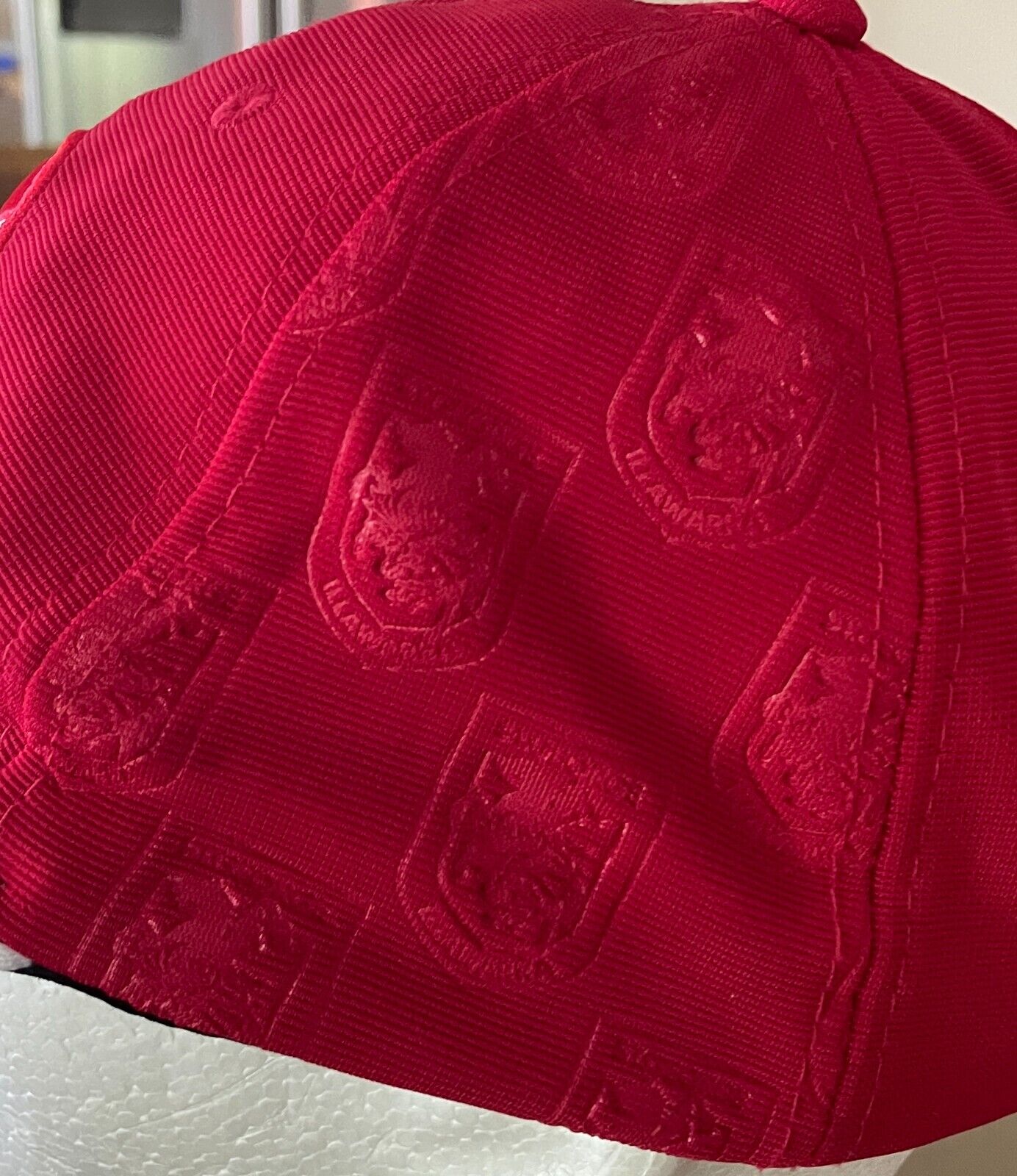 ST GEORGE ILLAWARRA DRAGONS Fan Cap Red V Member 2012 Red White Adjustable OSFM