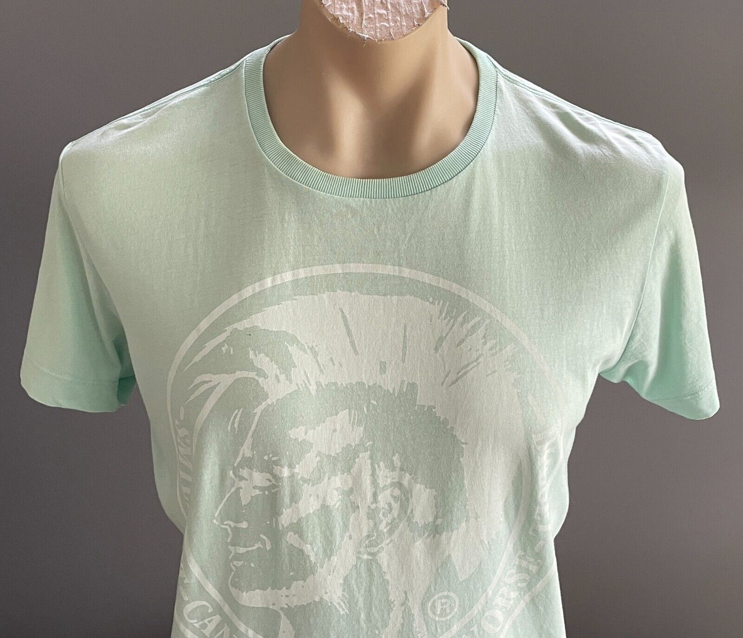 DIESEL Mens T-Shirt XL Mohawk Graphic Mint Green Motivation Tee Crew Neck NEW
