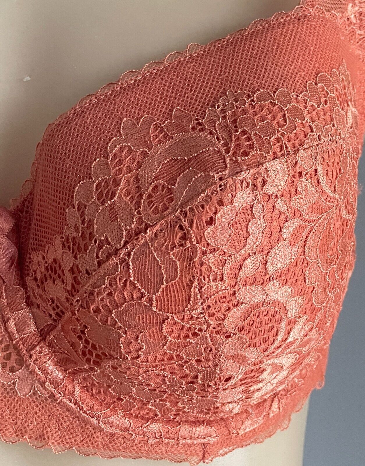INTIMO Savannah Bra 36DD Copper Lace Contour Underwire Adjust Straps 36 DD 14