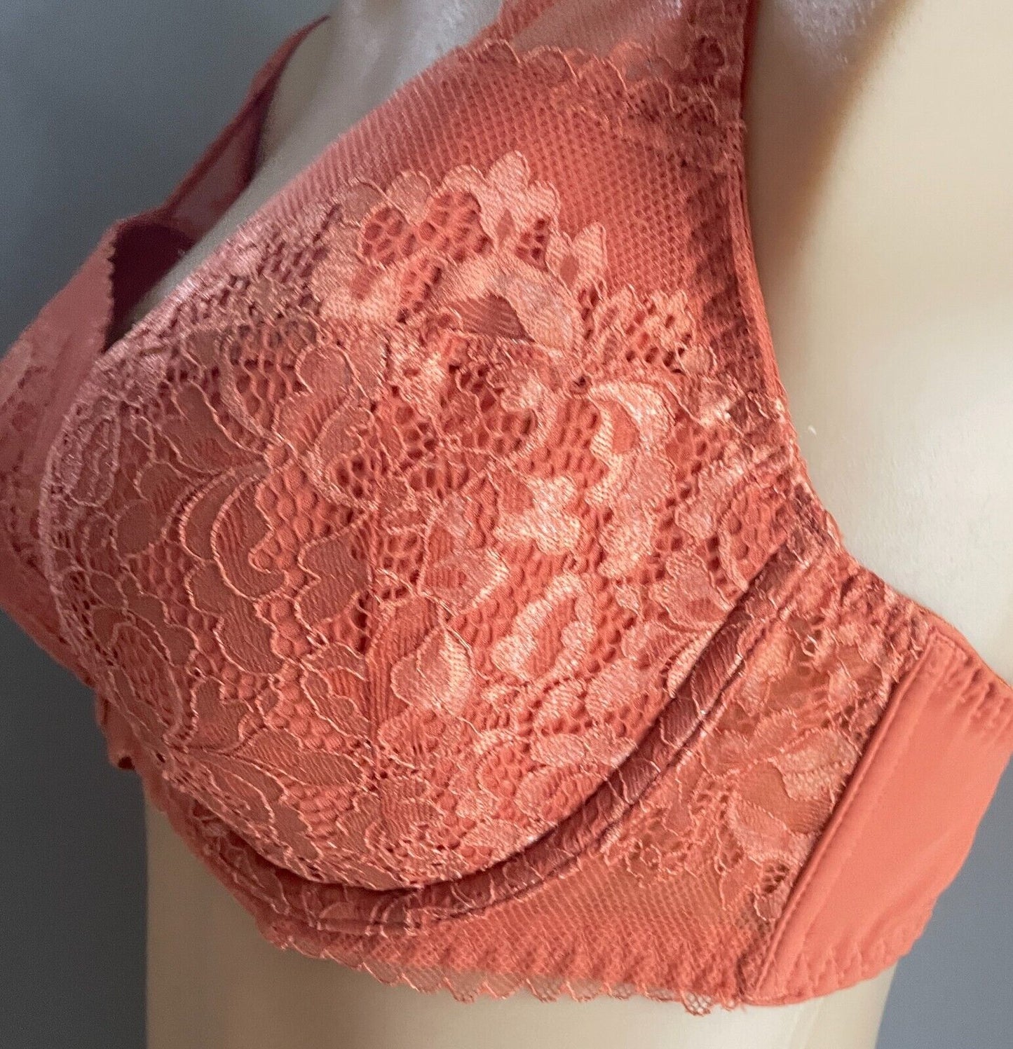 INTIMO Savannah Bra 36DD Copper Lace Contour Underwire Adjust Straps 36 DD 14