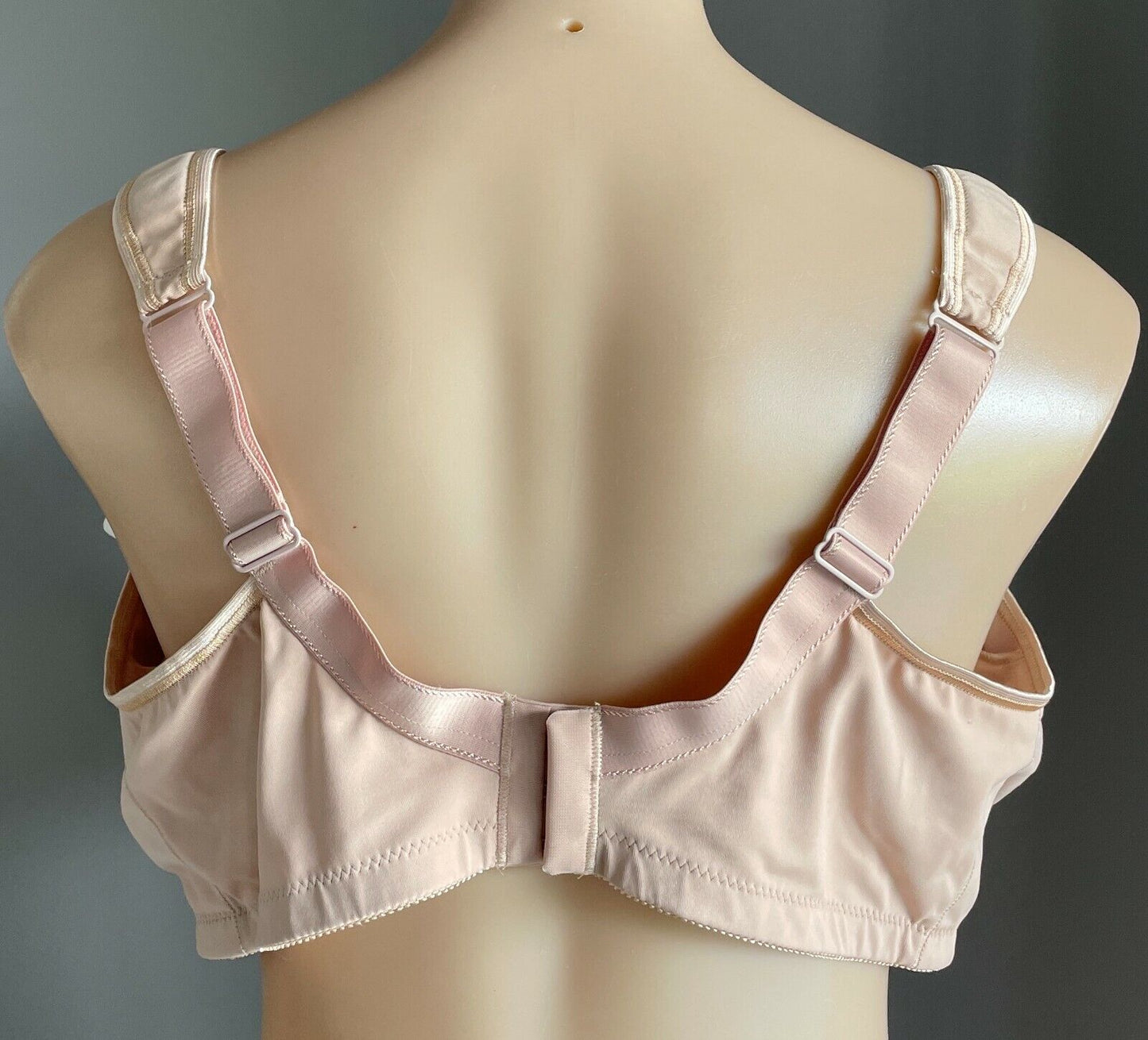AMOENA Isadora SB Bra 22D Nude Colour Non Wire Soft Cup Ladies Plus Size 22 D