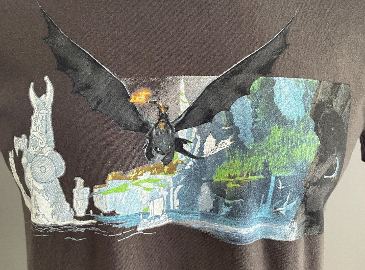 Mens T-Shirt  "How to Train Your Dragon" Dreamworks Animation Exhibition Size M