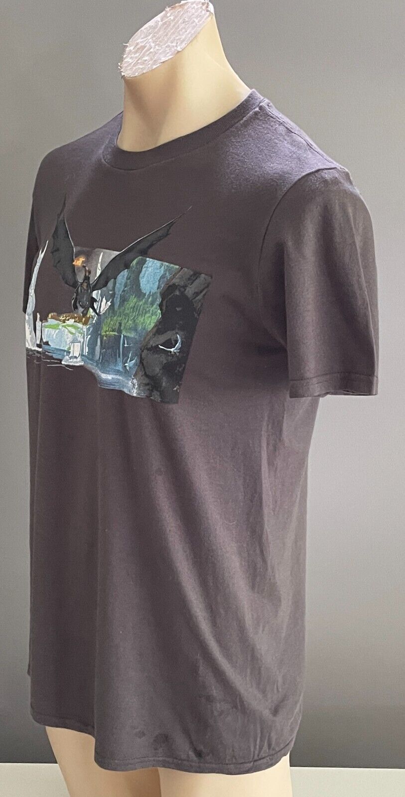Mens T-Shirt  "How to Train Your Dragon" Dreamworks Animation Exhibition Size M