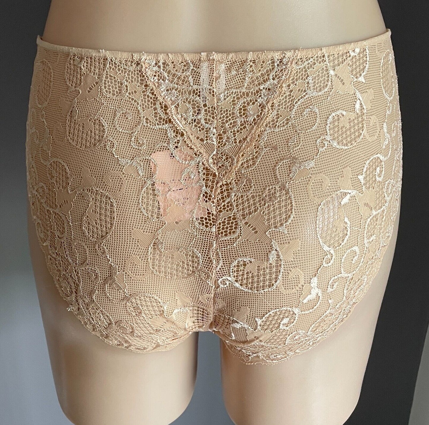 BRAS N THINGS Nude Smooth Comfort Lace Back High Waist Briefs Size 16 (00499101)